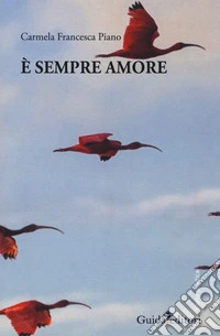 È sempre amore libro